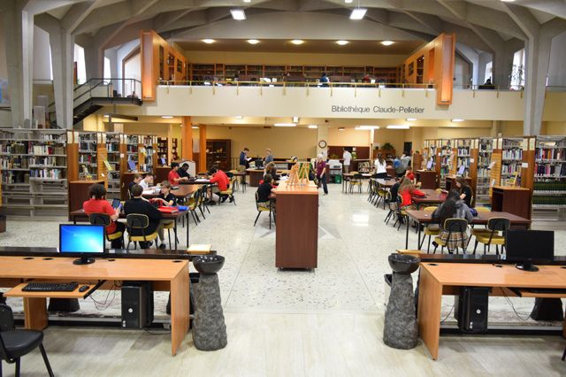 Une vue d’ensemble de la bibliothèque